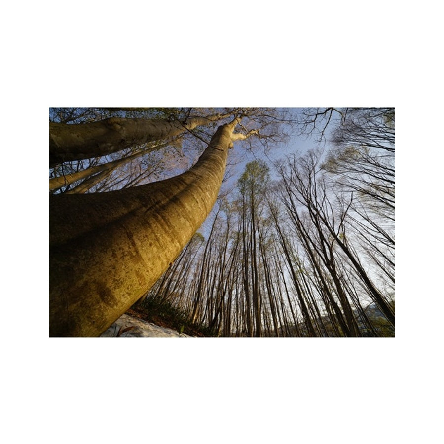 Sony FE 16-35mm f2.8 GM