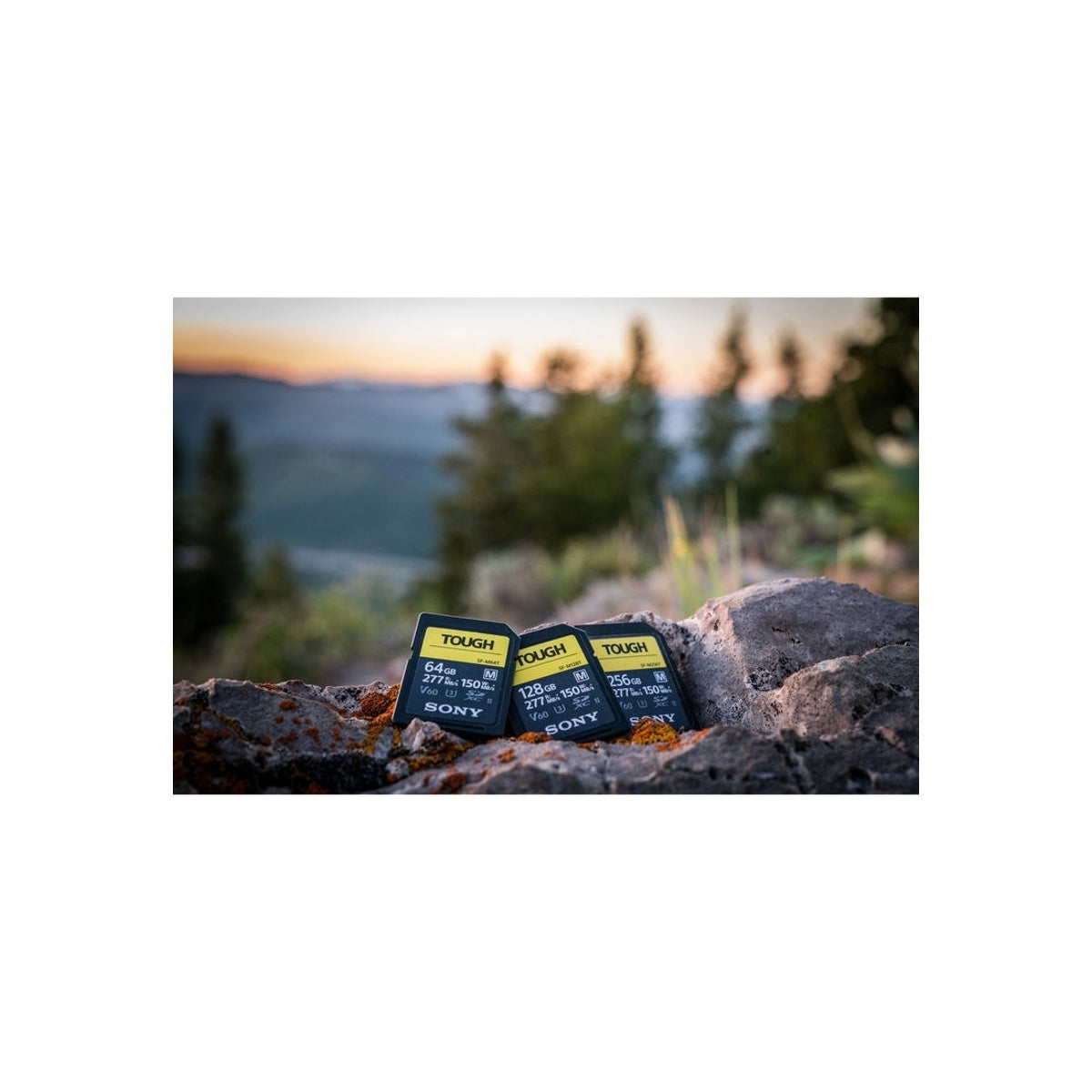 Sony 128GB SF-M Tough Series UHS-II SDXC Memory Card