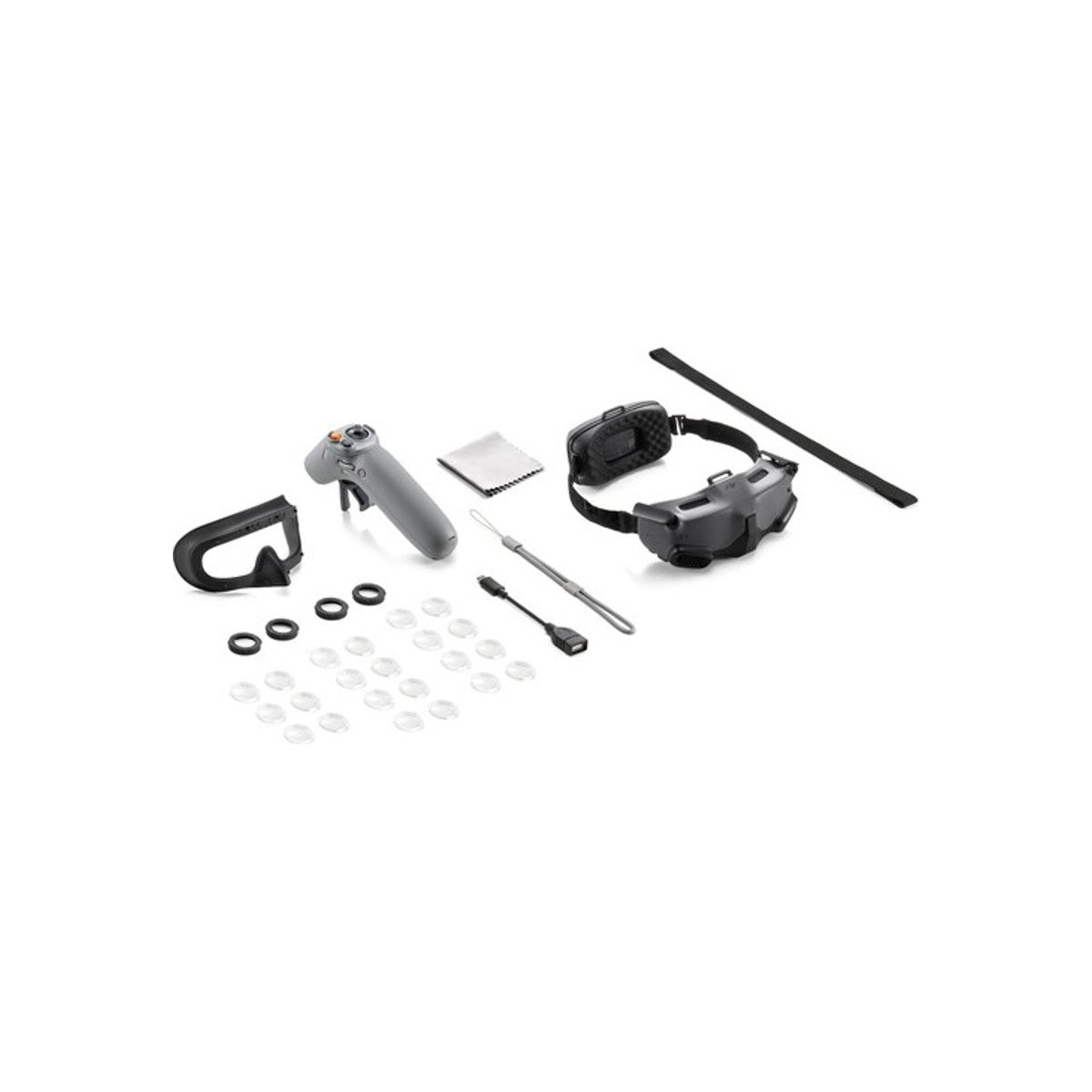 DJI Goggles Integra Motion Combo