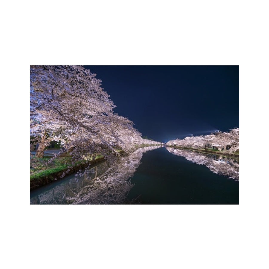 Sigma 14mm F1.4 DG DN Art For Sony-E