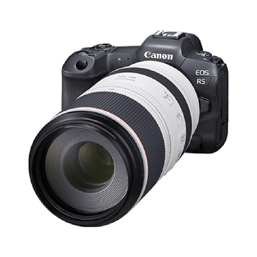 Canon RF 100-500mm F/4.5-7.1L IS USM