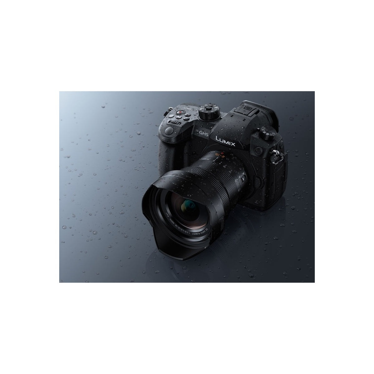 Panasonic Leica DG Vario-Elmarit 8-18mm F2.8-4.0 ASPH