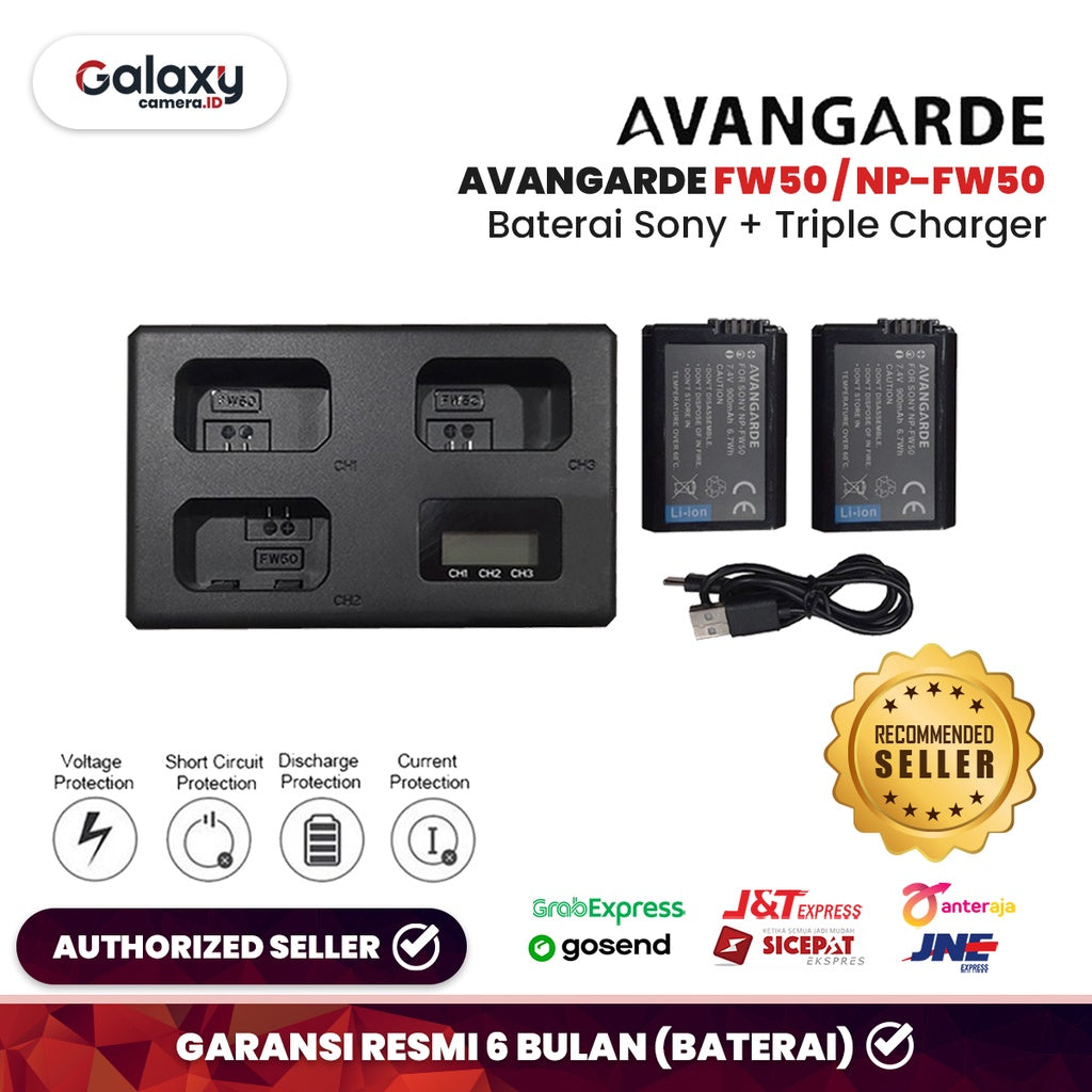 Avangarde Baterai Sony FW50 Dual Charger