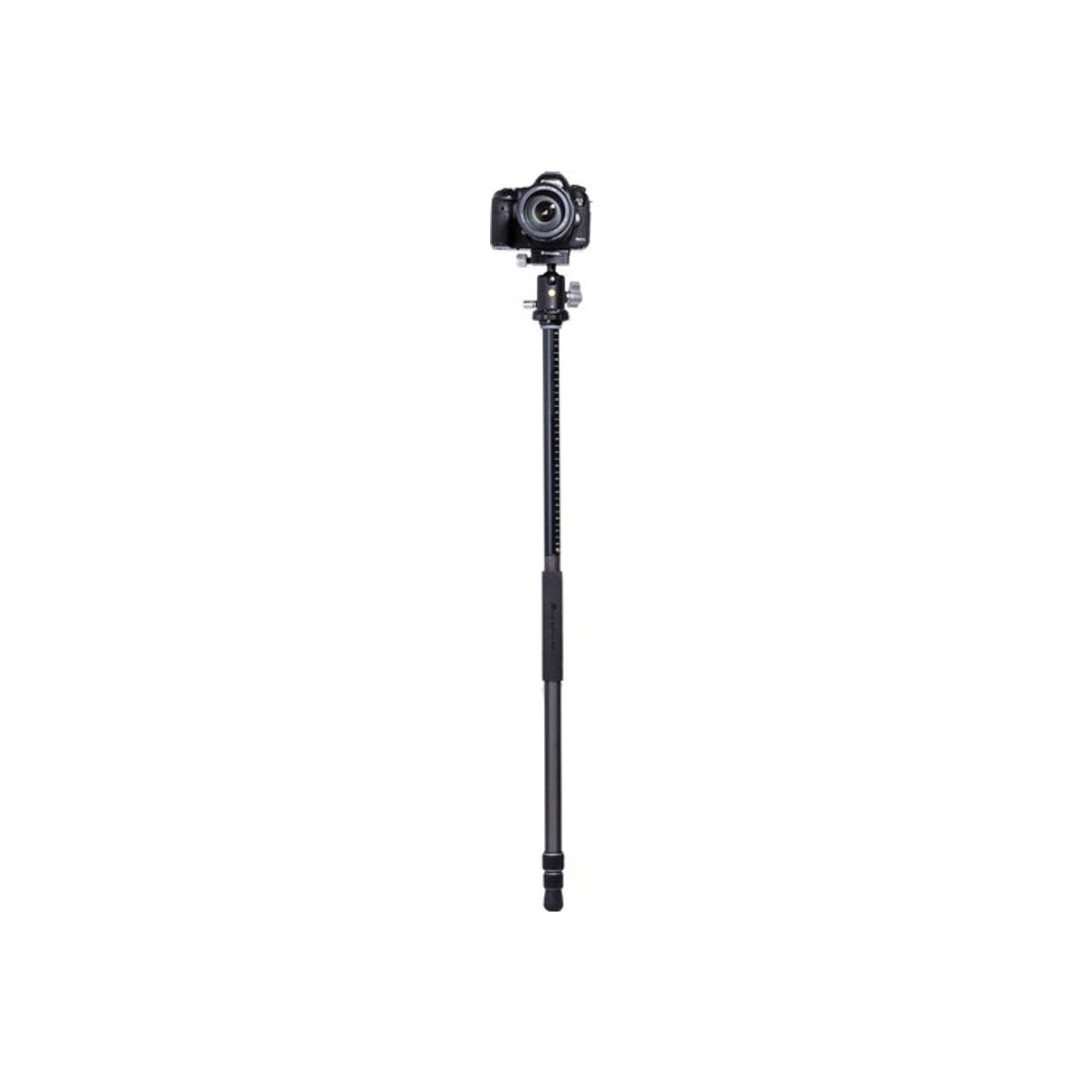 Vanguard VEO 3+ 263CB Tripod Flatlay