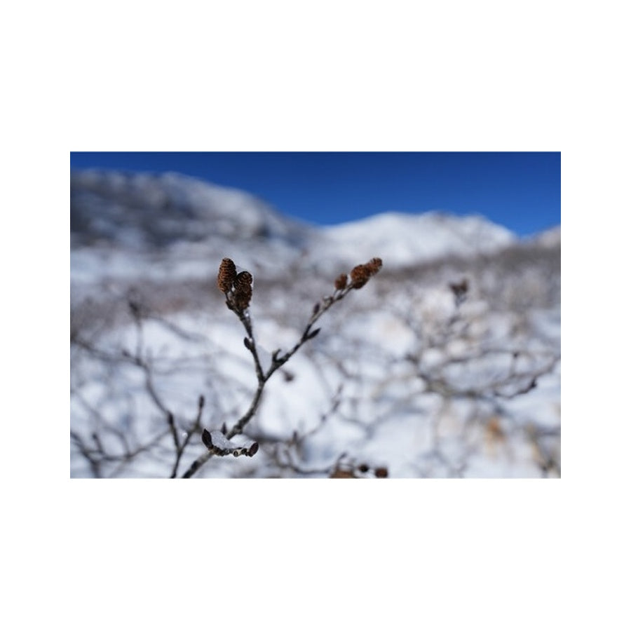 Sony FE 16-25mm F2.8 G
