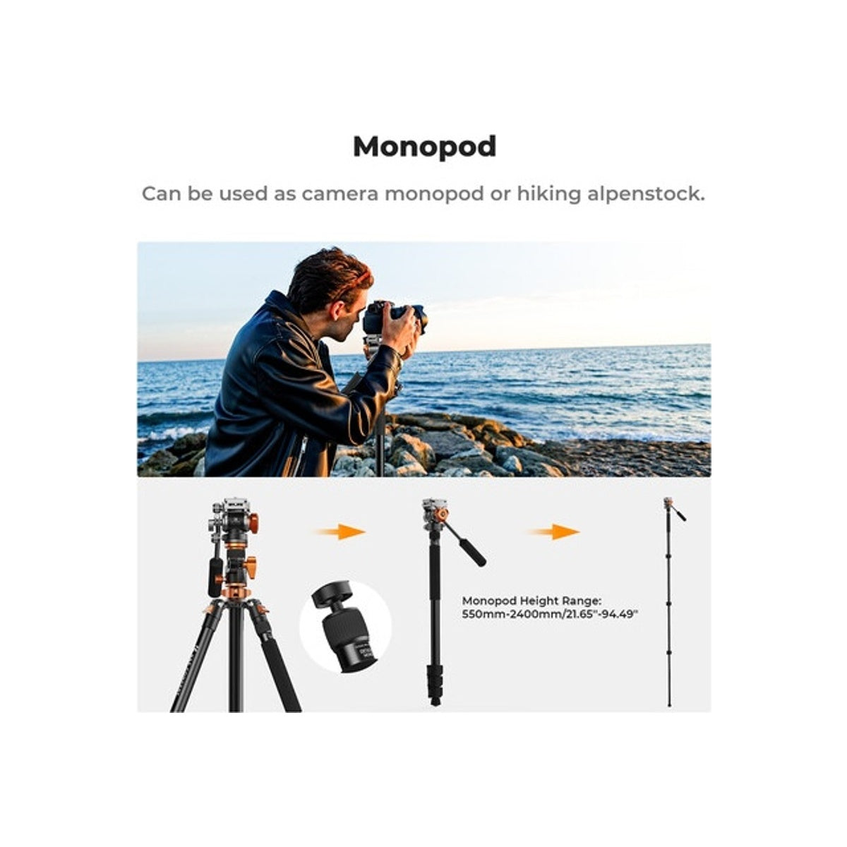 K&F Concept T254A7 Video Tripod with FH-03 Fluid Head