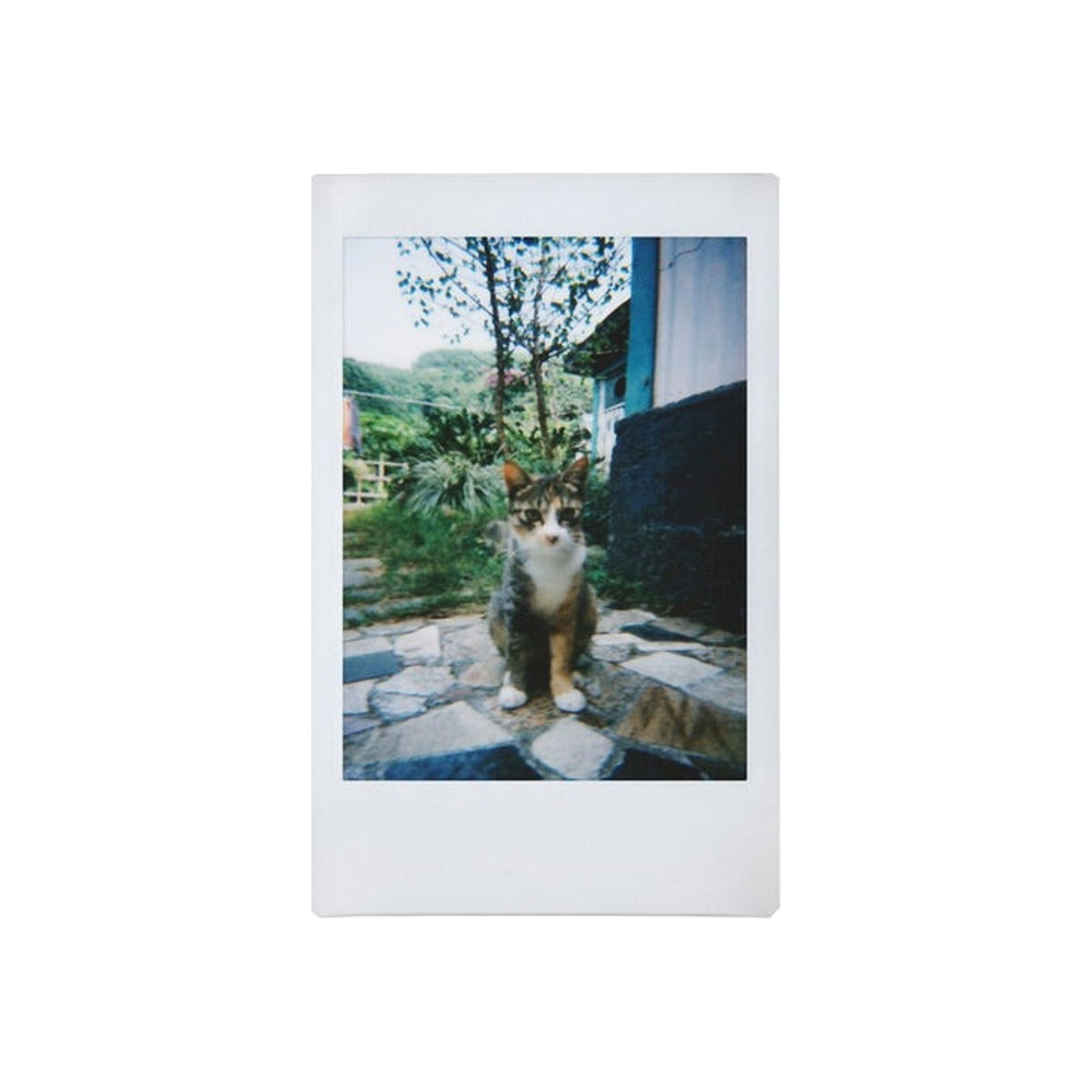 Lomography Lomo Instant Camera & Lenses Milano Edition Instant mini Resmi