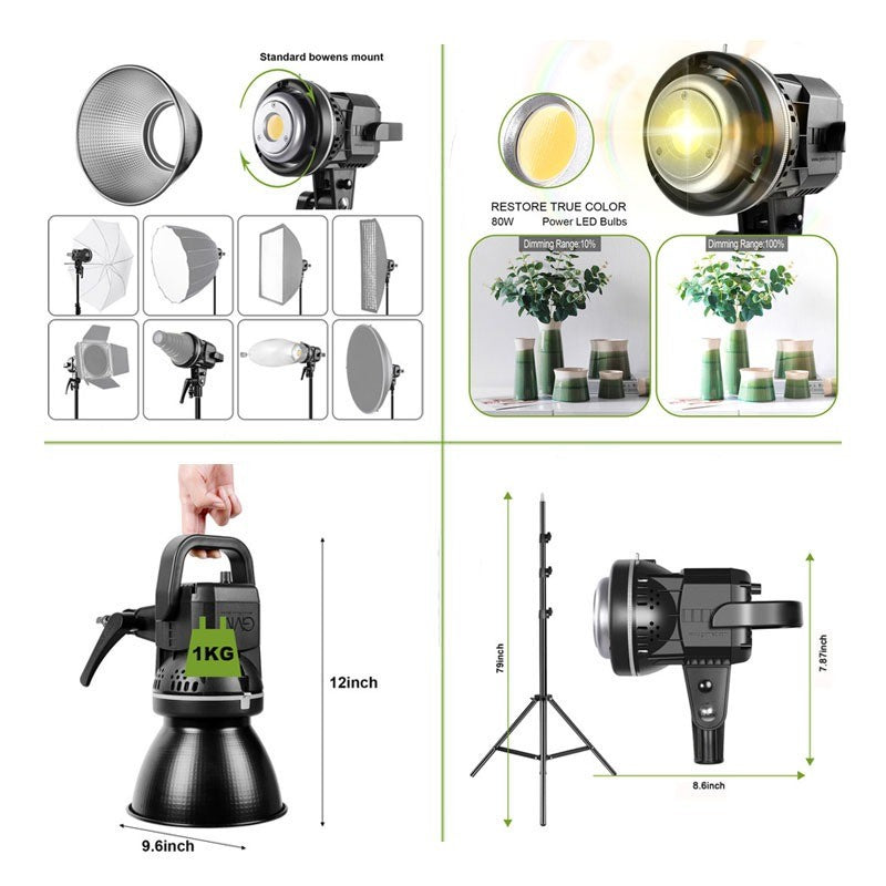 GVM LS-P80S-2D Fresnel 2 LED Light
