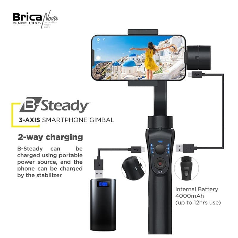Brica B-Steady
