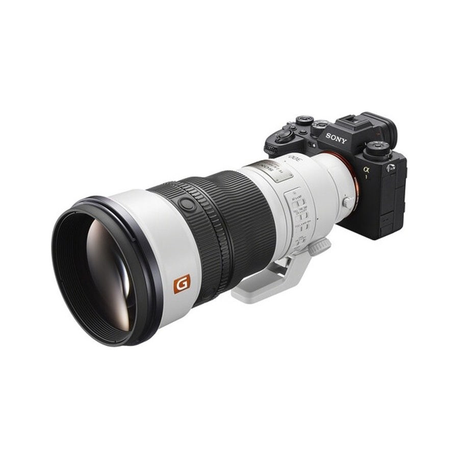 Sony FE 300mm F2.8 GM OSS