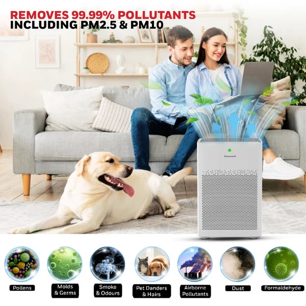 Honeywell Air Purifier P1 HEPA H13 Nano Silver Filter Udara