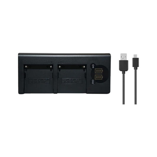 Avangarde DL-F970 Dual Charger