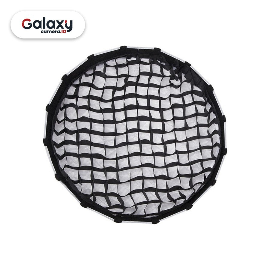 Aputure Light Dome Mini II Softbox for LS C300D II / LS C120D II