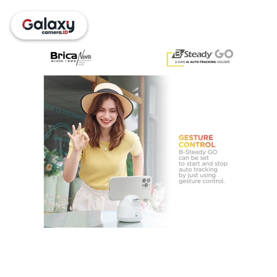 Brica B-Steady GO Smart