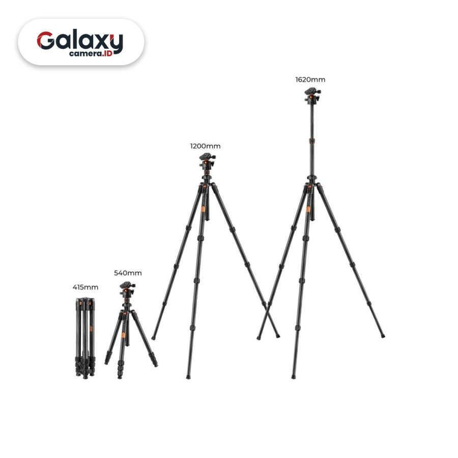 K&F KNF Concept K254C2 With Ball Head Carbon Fiber Tripod (KF09.123)