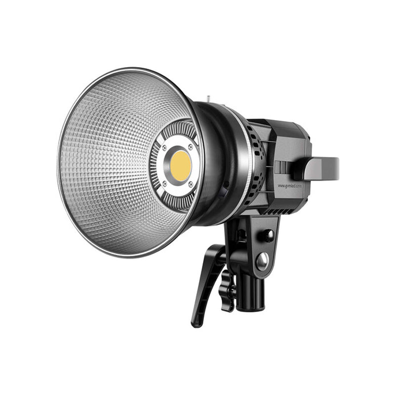 GVM LS-P80S-2D Fresnel 2 LED Light