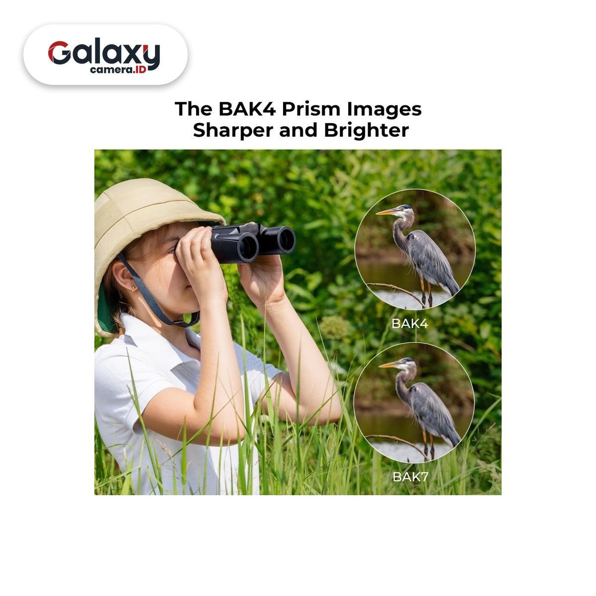 KNF K&F Concept Compact Binocular Telescope HD 10x25 BAK4 (KF33.070)