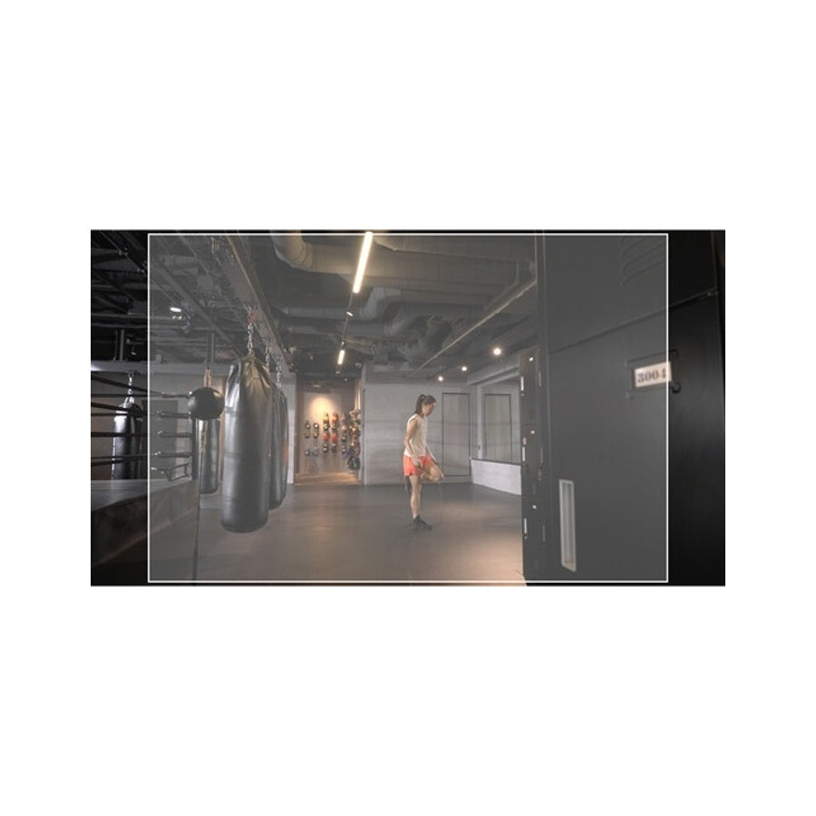 Sony HXR-NX800 Camcorder HDR Professional