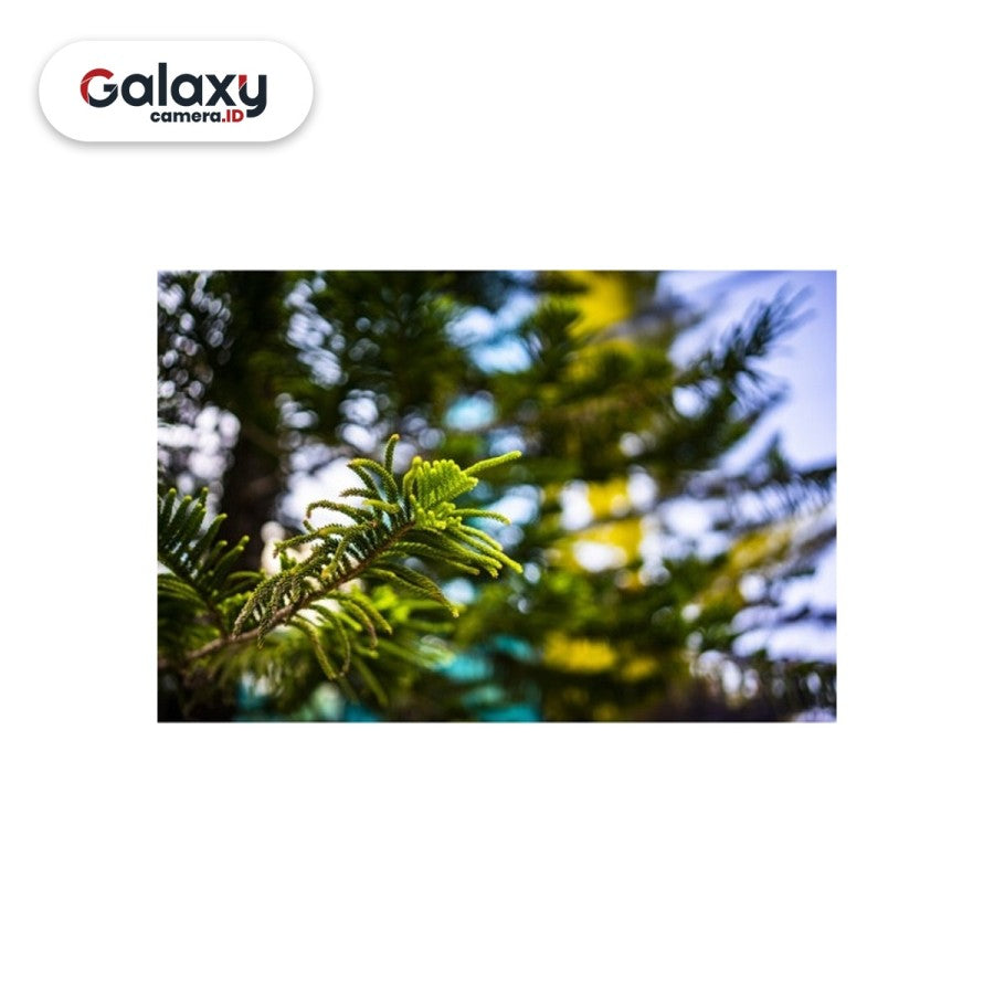 Lensa Viltrox AF 50mm F1.8 For Sony FE Mount Full-Frame Garansi Resmi