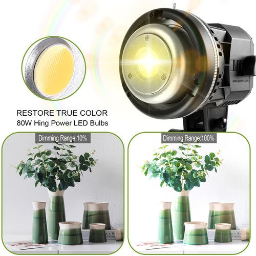 GVM LS-P80S-2 LED Light Kit With Softbox