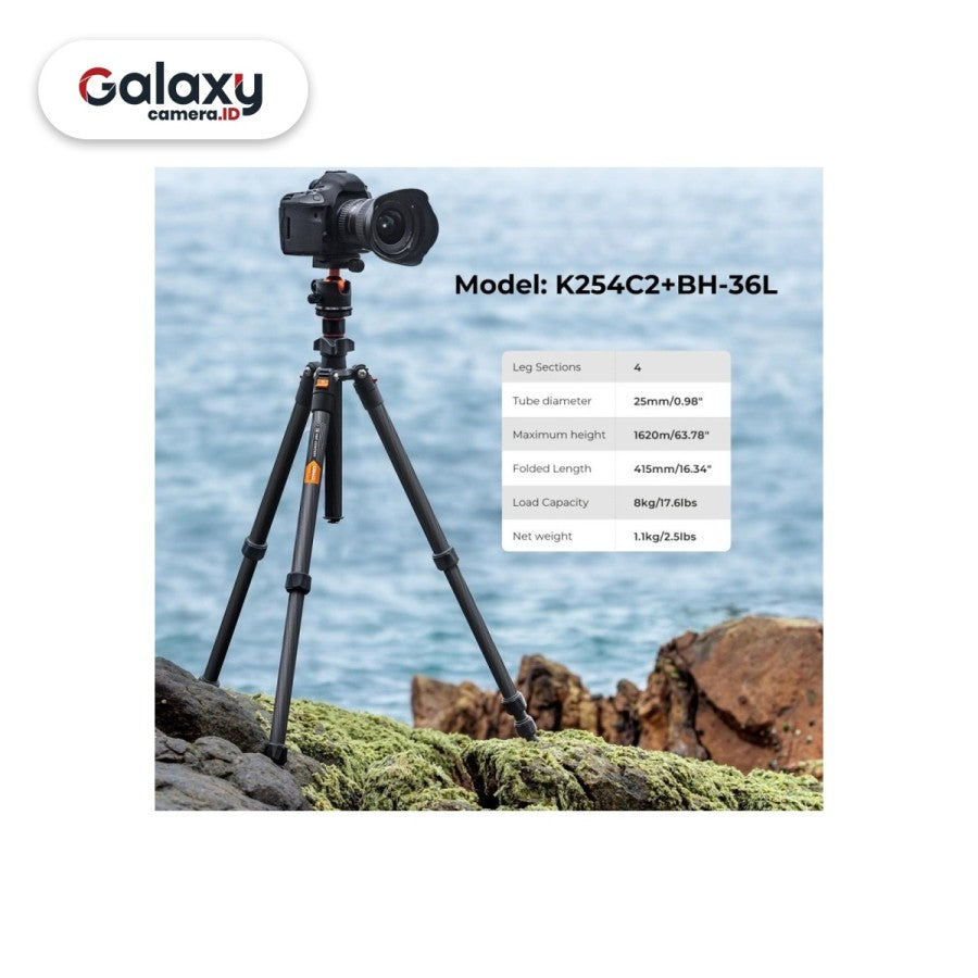 K&F KNF Concept K254C2 With Ball Head Carbon Fiber Tripod (KF09.123)