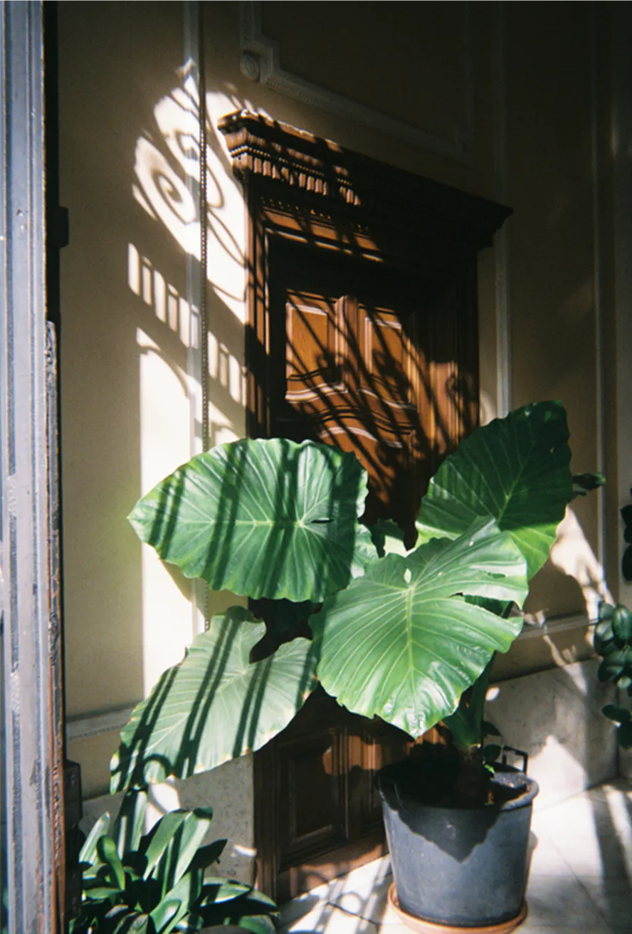 Fujifilm QuickSnap